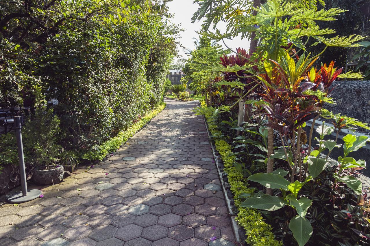 Bungalows Y Temazcal Zoviq Otel Xochitepec Dış mekan fotoğraf