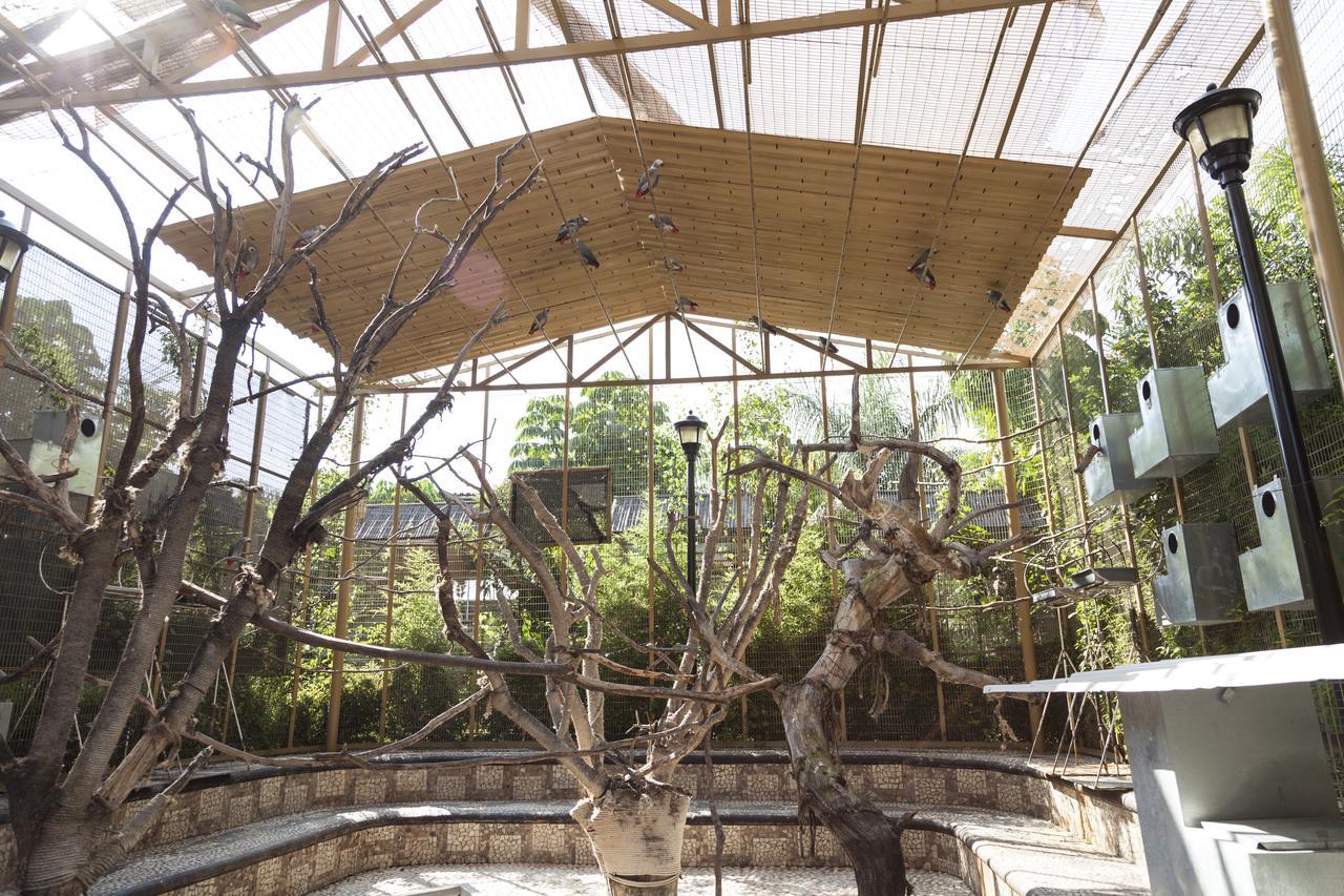 Bungalows Y Temazcal Zoviq Otel Xochitepec Dış mekan fotoğraf