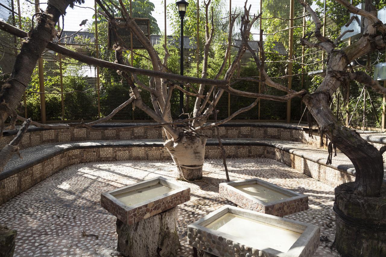 Bungalows Y Temazcal Zoviq Otel Xochitepec Dış mekan fotoğraf